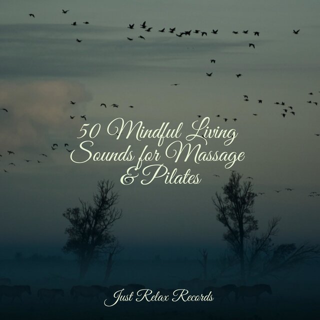 50 Mindful Living Sounds for Massage & Pilates