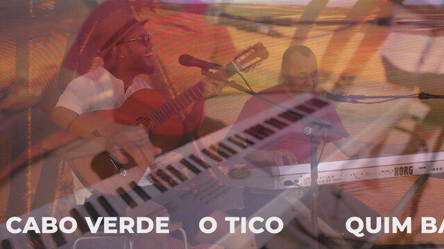 Tico-Tico