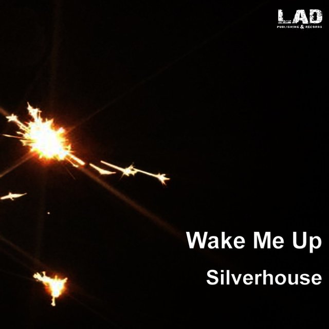Wake Me Up