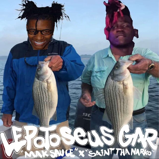 Lepotoseus Gar