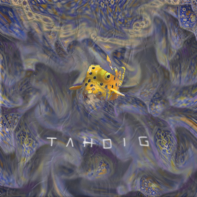 Yellow Boxfish Named Labu