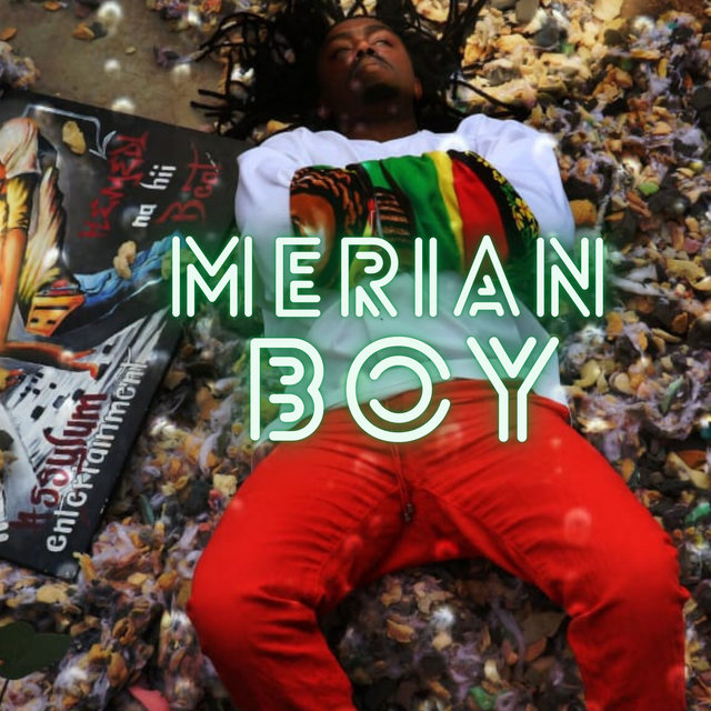 Merian Boy