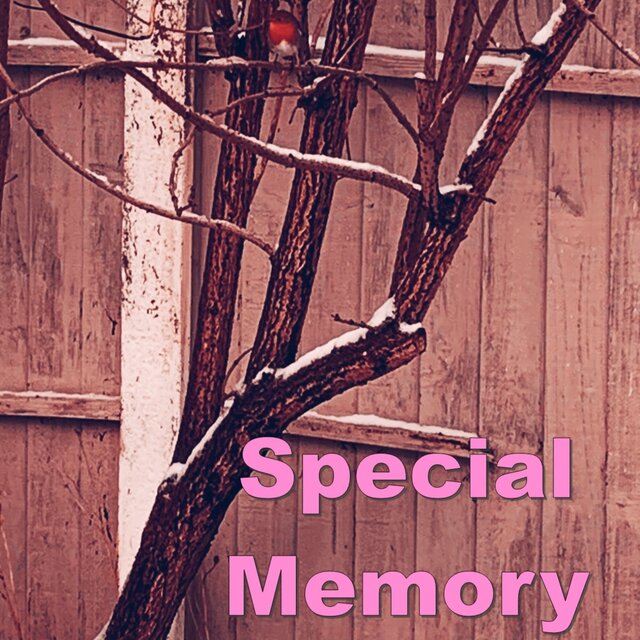 Special Memory