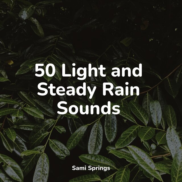 50 Light and Steady Rain Sounds