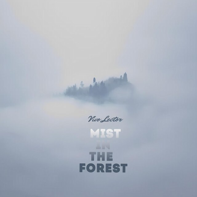 Mist In The forest
