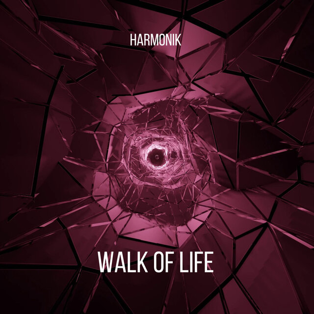 Walk Of Life