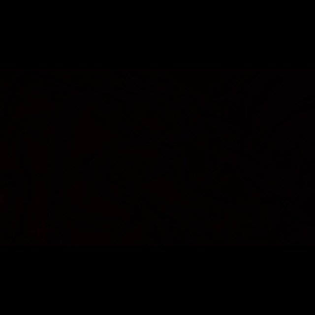 11/11