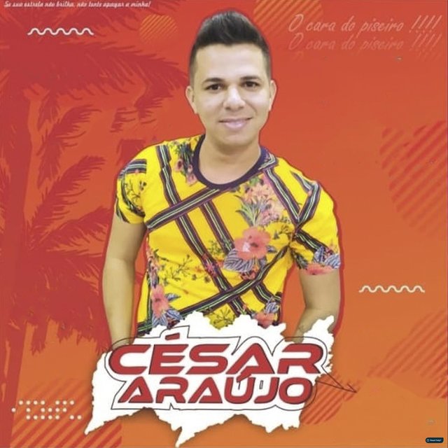 A Moda Agora É o Piseiro