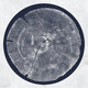 Cover art for album R: Tropic of Anodyne by Roy Montgomery