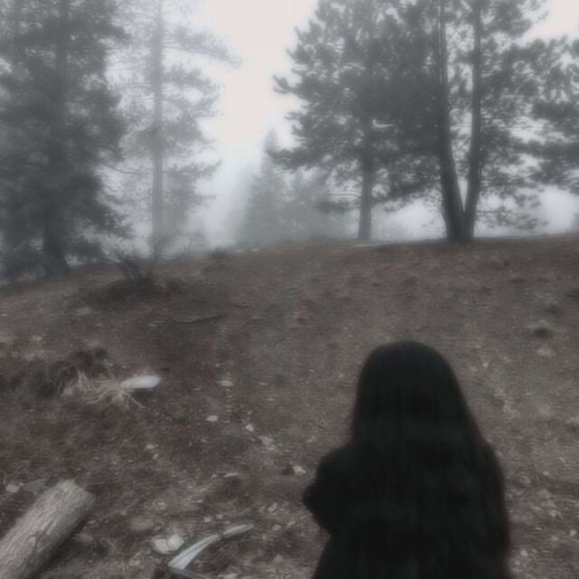 echo in my head