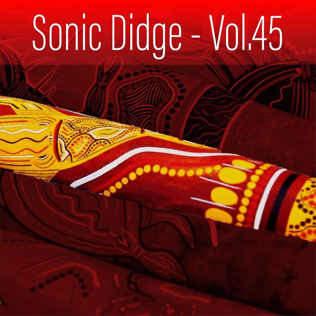 Sonic Didge, Vol. 45