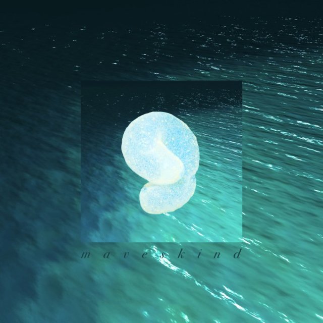 Maveskind (Edit)