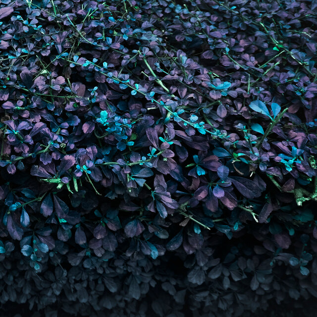 Shift