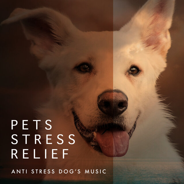 Pets Stress Relief