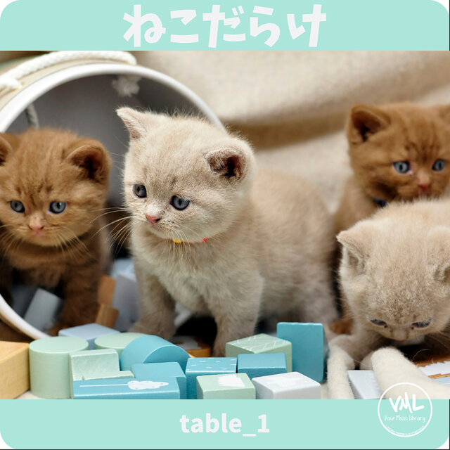 Full of cats