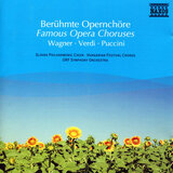Il Trovatore: Soldiers' Chorus