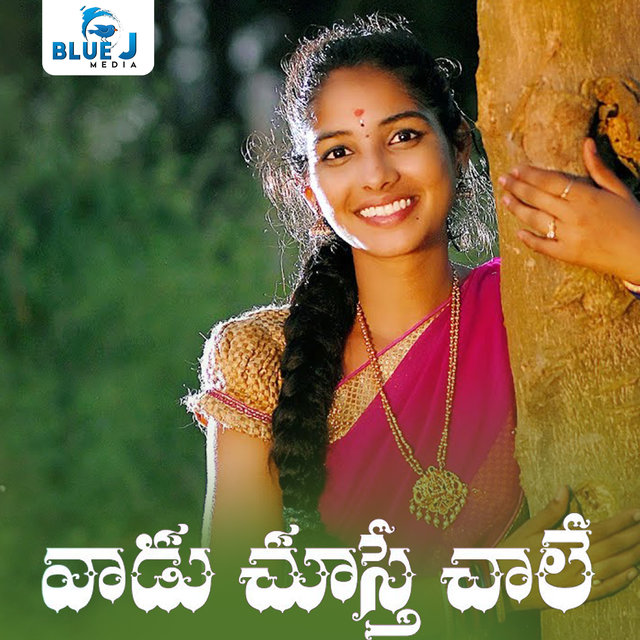 Vaadu Chusthe Chale