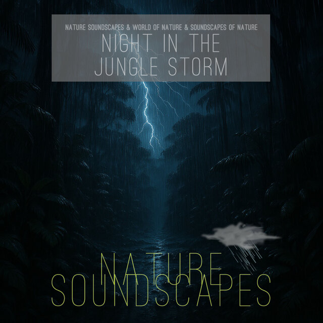 Night in the Jungle Storm