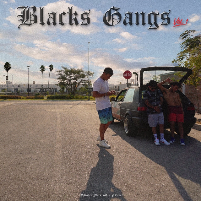 Blacks Gangs Vol.1