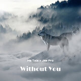 Without You