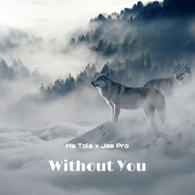 Without You