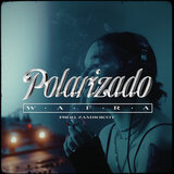 Polarizado