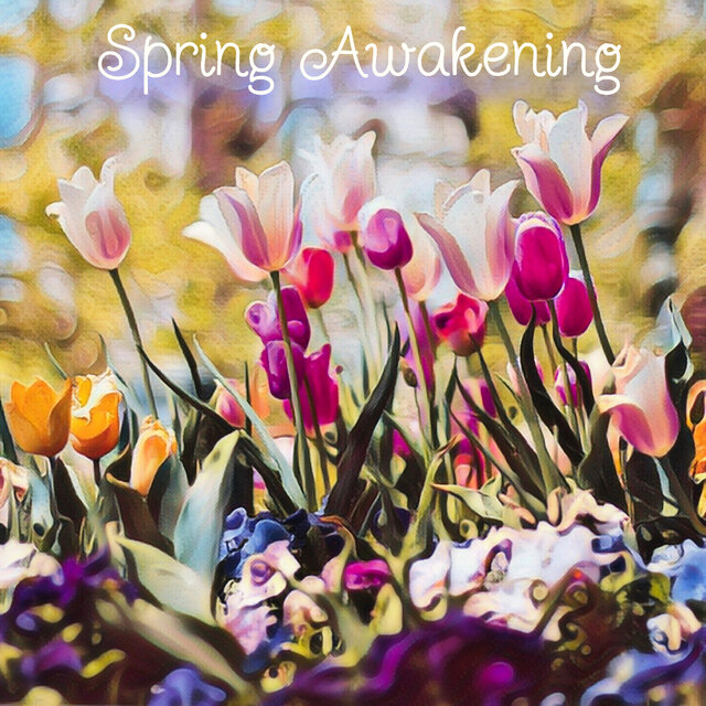 Spring Awakening