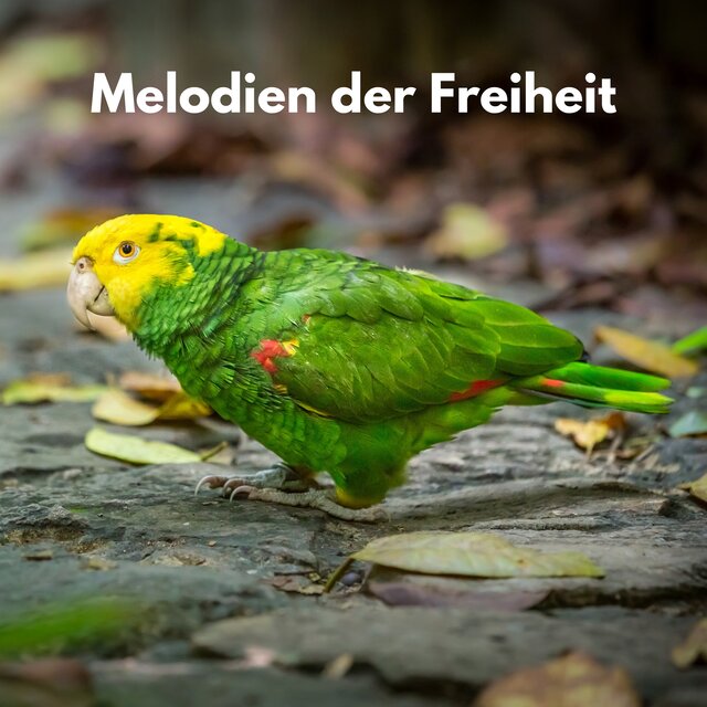 Melodien der Freiheit