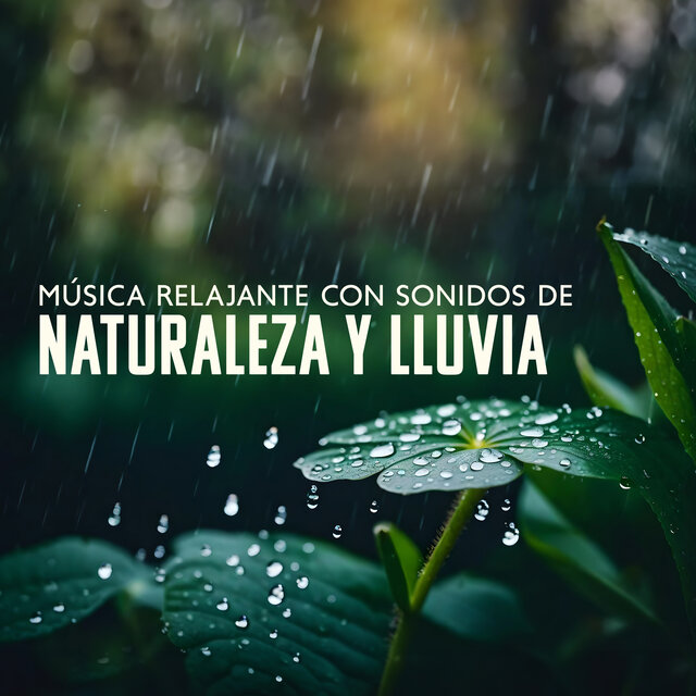 Música Relajante con Sonidos de Naturaleza y Lluvia (Sueño Profundo)