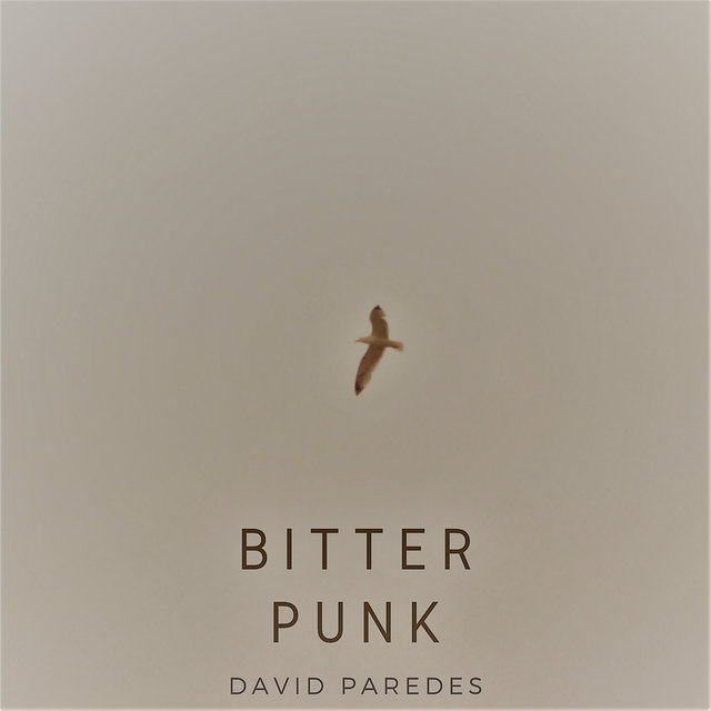 Bitter Punk