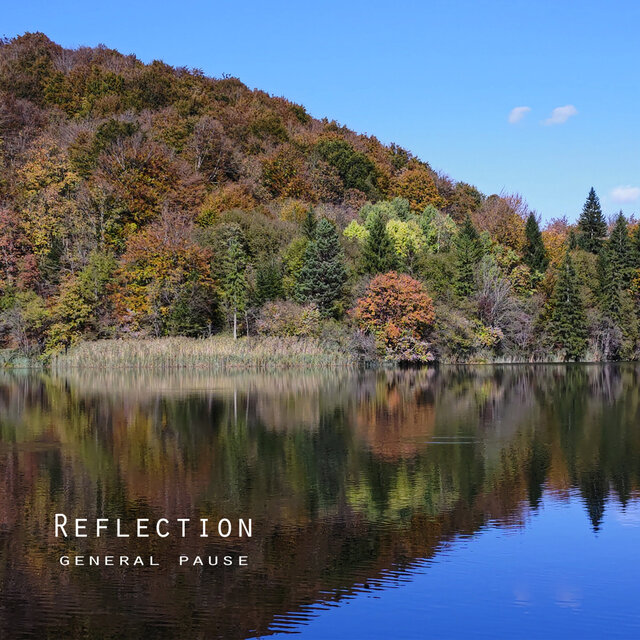 Reflection