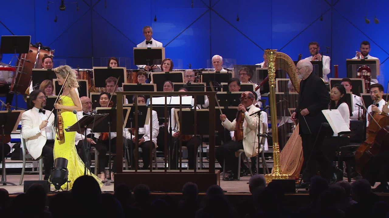 John Williams: Opening