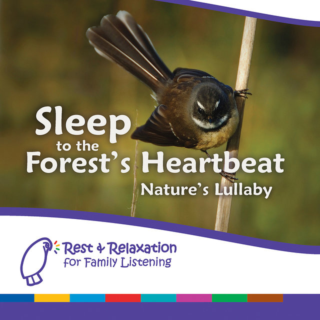 Sleep to the Forest's Heartbeat: New Zealand Rainforest with Mother's Heartbeat