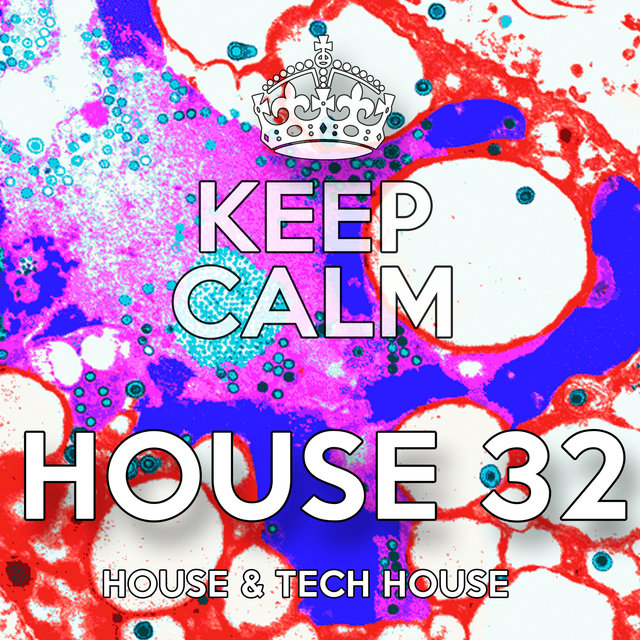 House 32