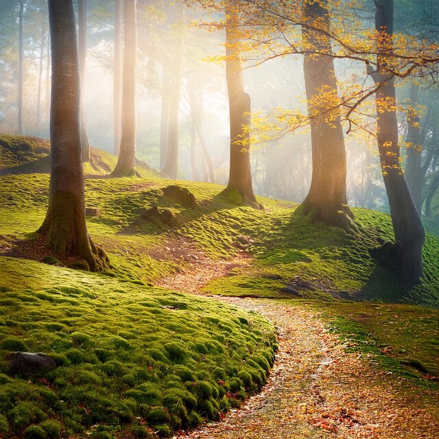 Music for Quiet Journeys and Open Roads