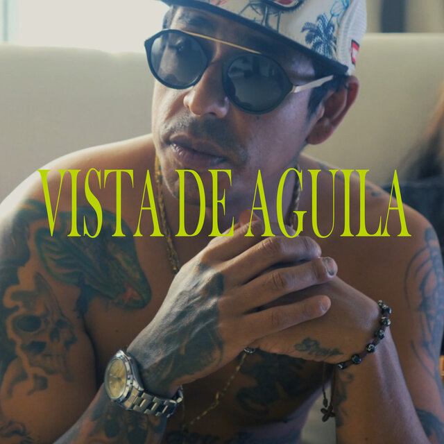 Vista de aguila