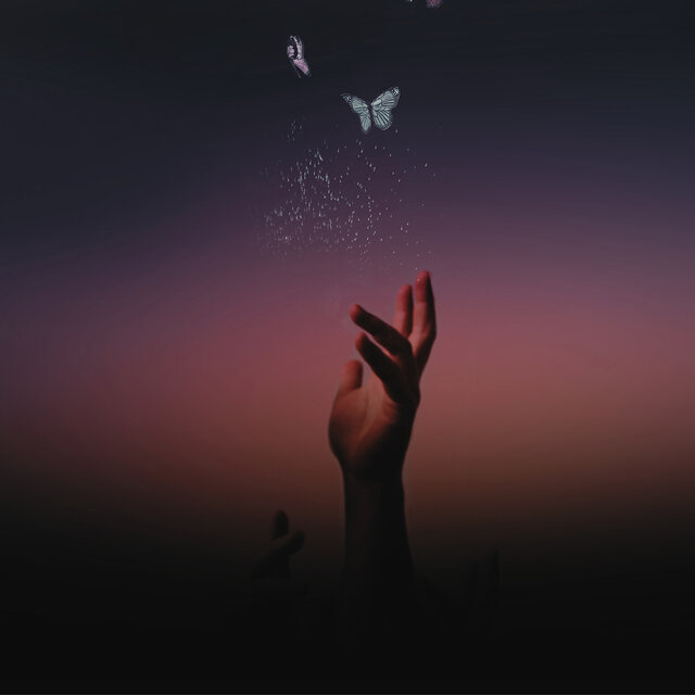 Trust Your Wings