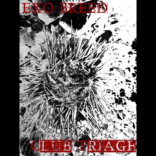 Club Triage