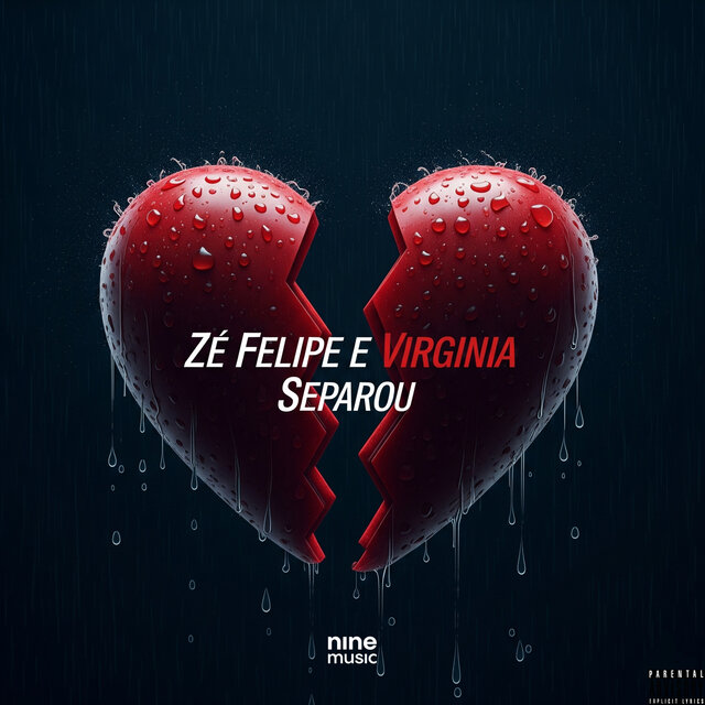 Zé Felipe e Virginia Separou