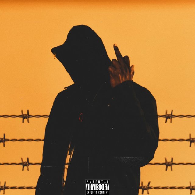 Fences