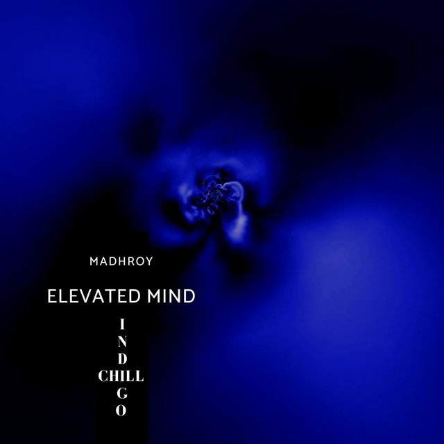 Elevated Mind