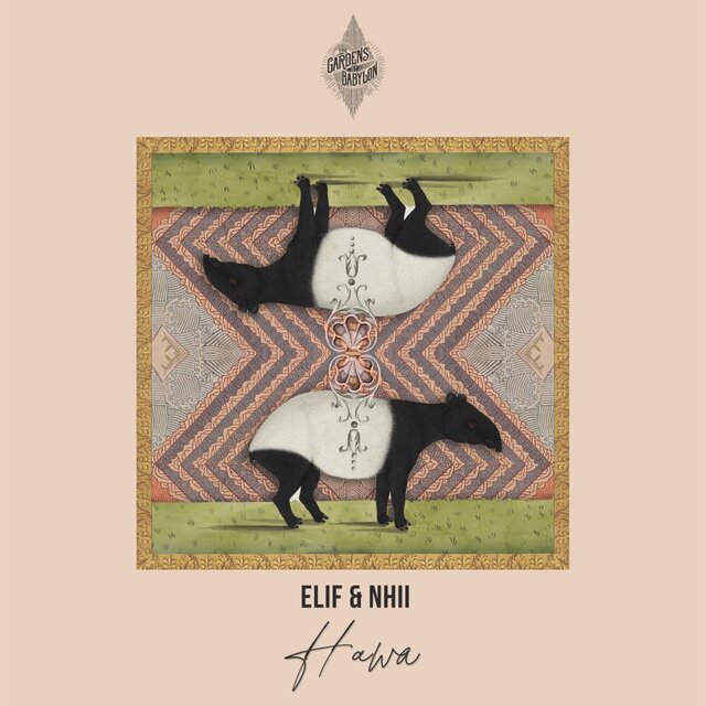 Hawa
