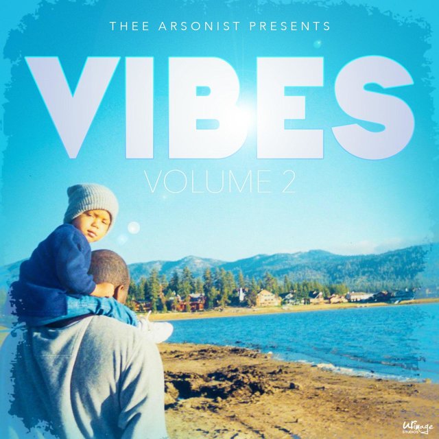 Vibes Vol.2