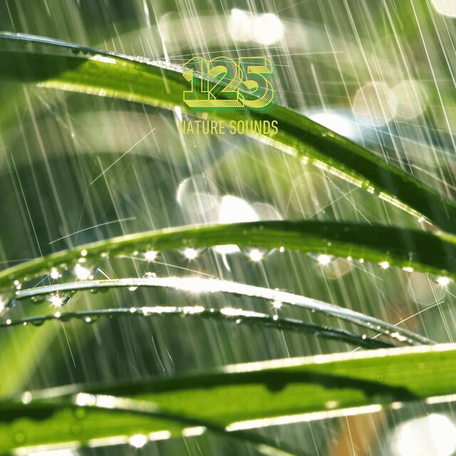Fresh Drizzle Puddle