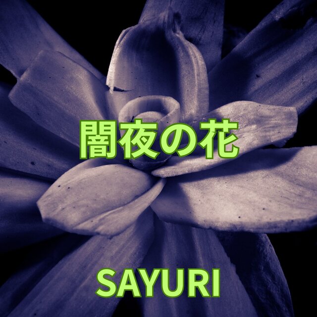 dark night flower