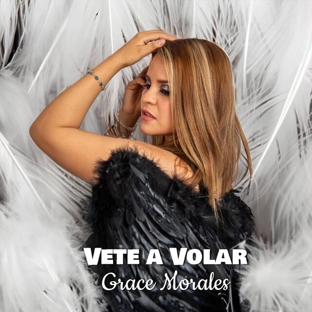 Vete a Volar