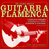 Fuente y Caudal