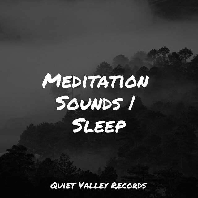 Meditation Sounds | Sleep