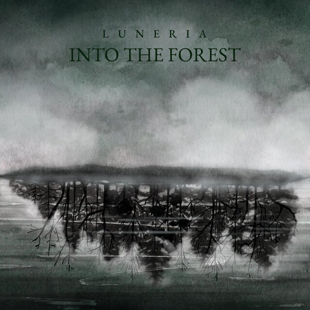 Into the Forest
