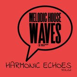 Calling the Floor (Original Mix)